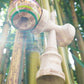 365 Kendama  Edwin Pro Model - バンブー / スティッキー塗装